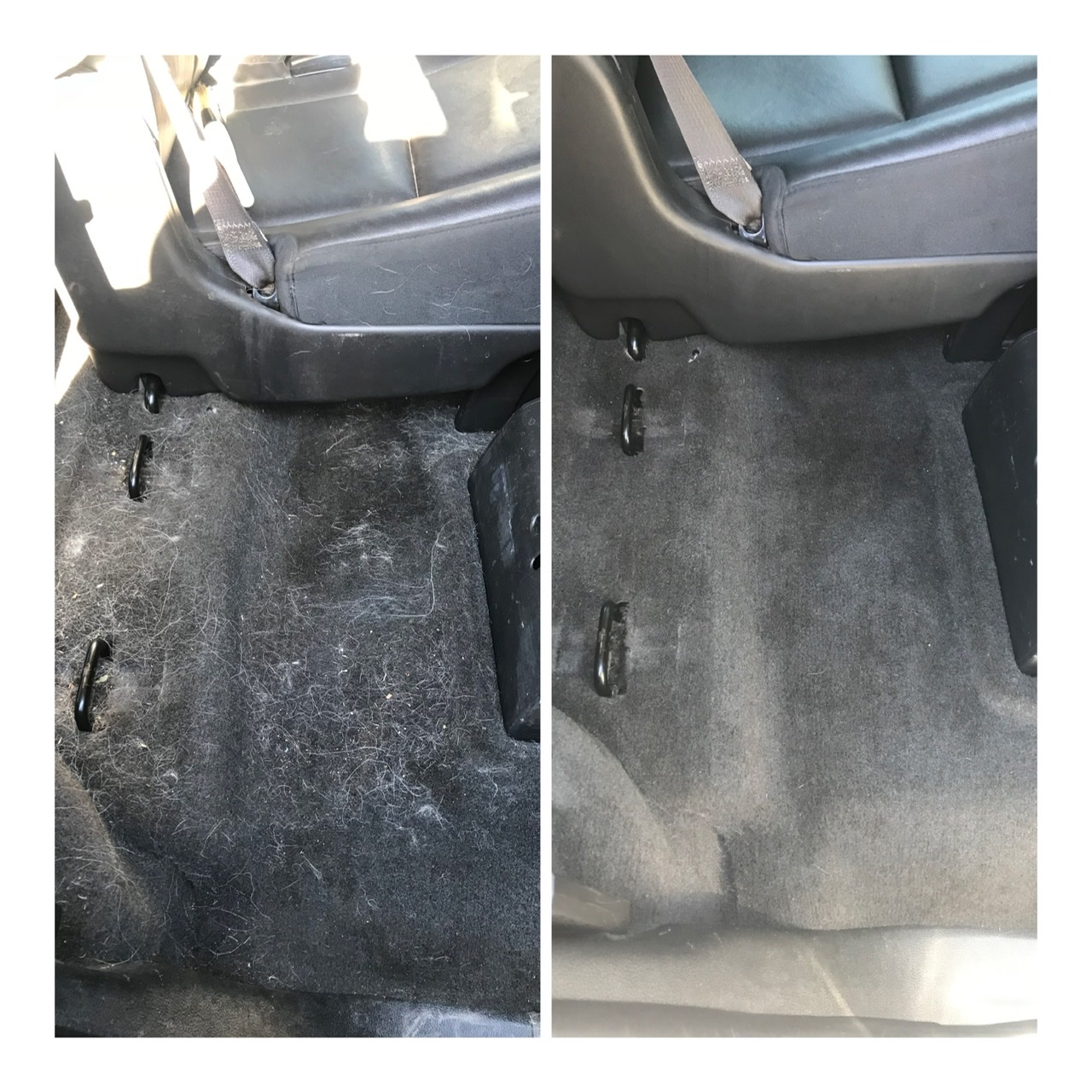 Before and after pet hair removal